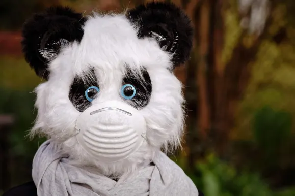 БЕТ9 Казино Поддръжка